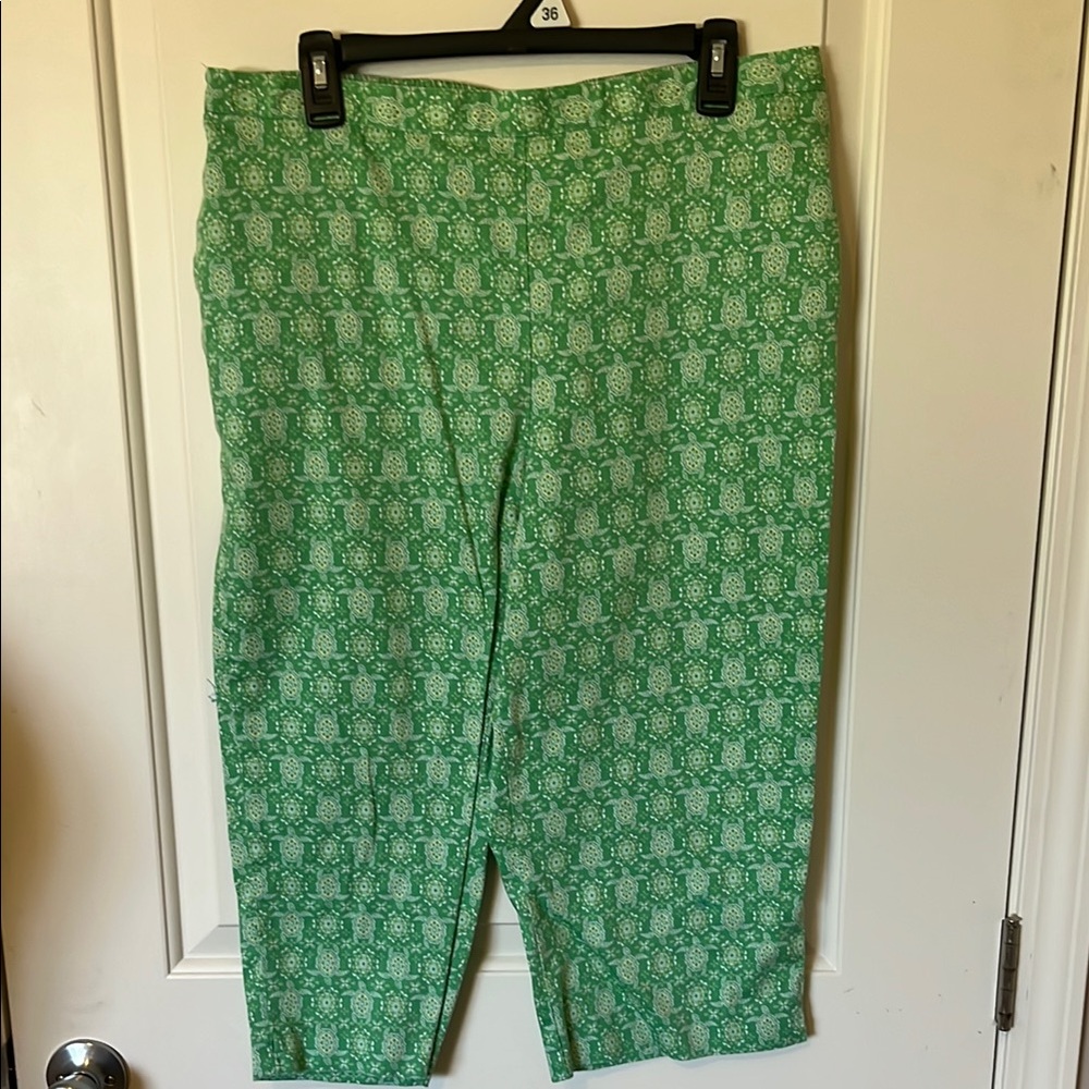 Alfred Dunner Green Turtle Capris for Casual Comfort